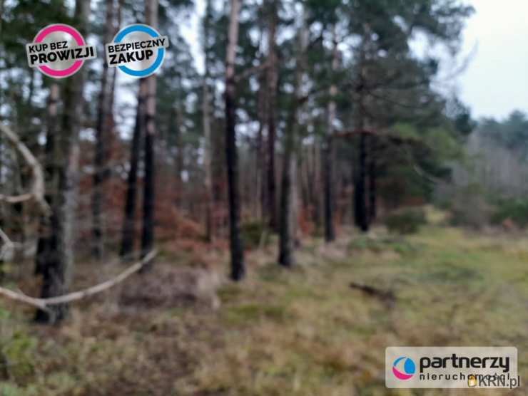 , Działki  na sprzedaż, Bojano, ul. Lesoki