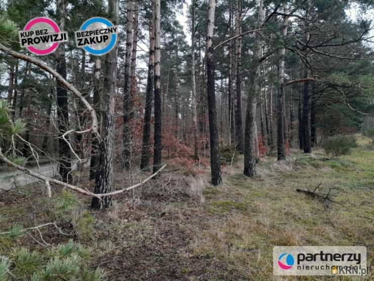 PARTNERZY Nieruchomości sp. z o.o., Działki  na sprzedaż, Bojano, ul. Lesoki