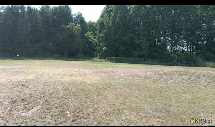 Działki  na sprzedaż, Dębicze, ul. , 