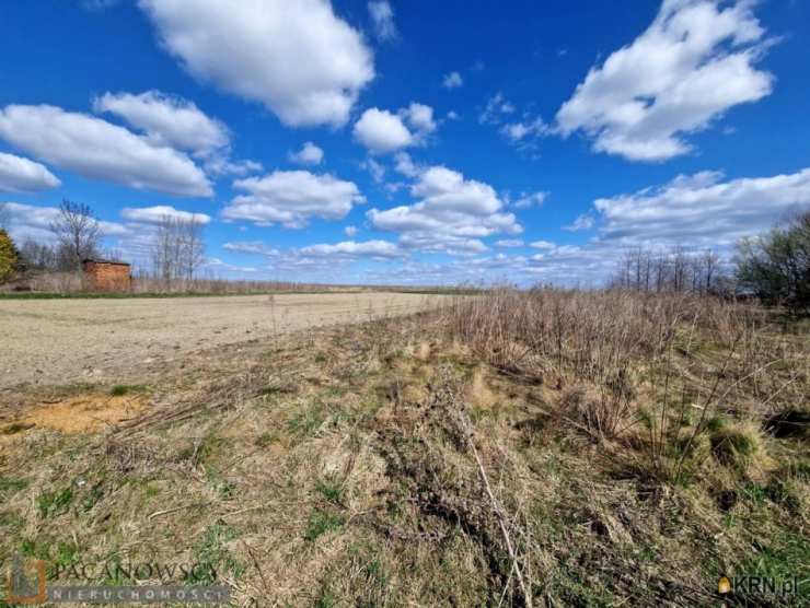 Działki  na sprzedaż, Rzeplin, ul. , 