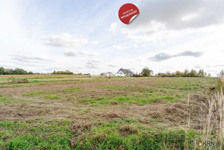 Działki  na sprzedaż, Cholerzyn, ul. , 