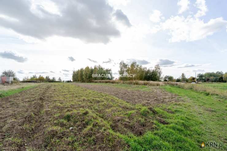 Cholerzyn, ul. , , Działki  na sprzedaż