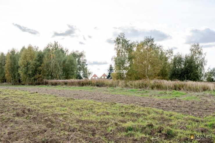 , Działki  na sprzedaż, Cholerzyn, ul. 