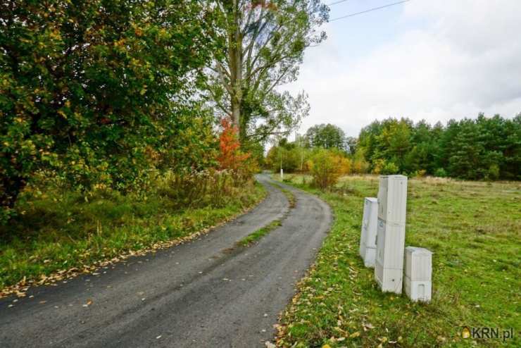 RE/MAX Polska, Działki  na sprzedaż, Radziejowice-Parcel, ul. 