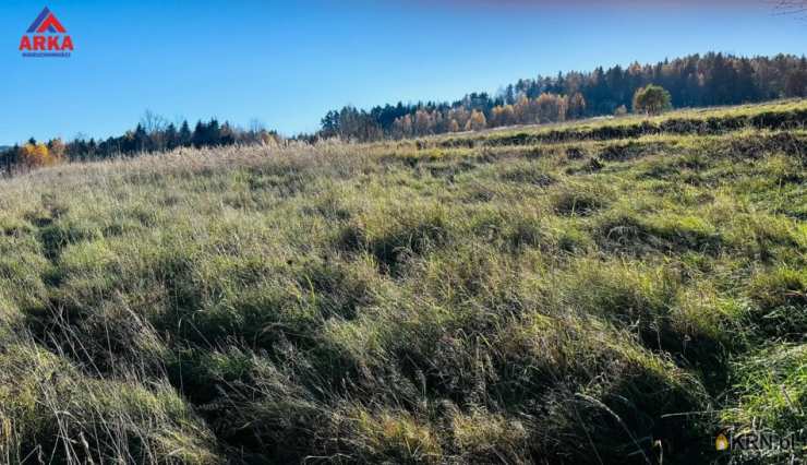 , Działki  na sprzedaż, Tokarnia, ul. 