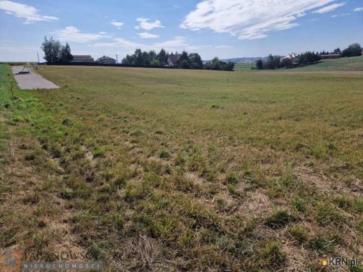 Działki  na sprzedaż, Sieciechowice, ul. , 