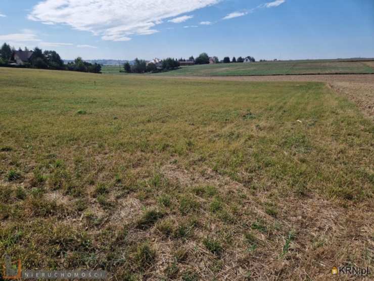 Sieciechowice, ul. , Działki  na sprzedaż, 