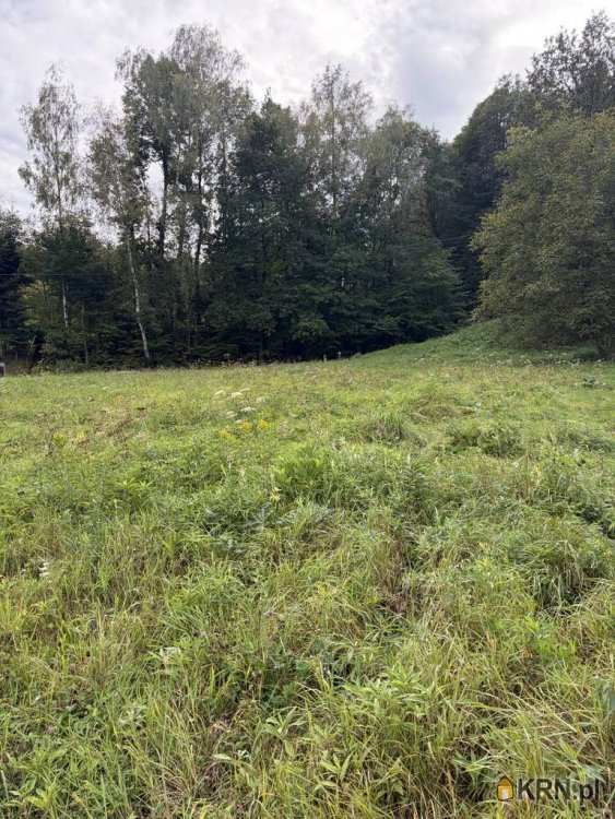 Działki  na sprzedaż, Skrzyszów, ul. , 