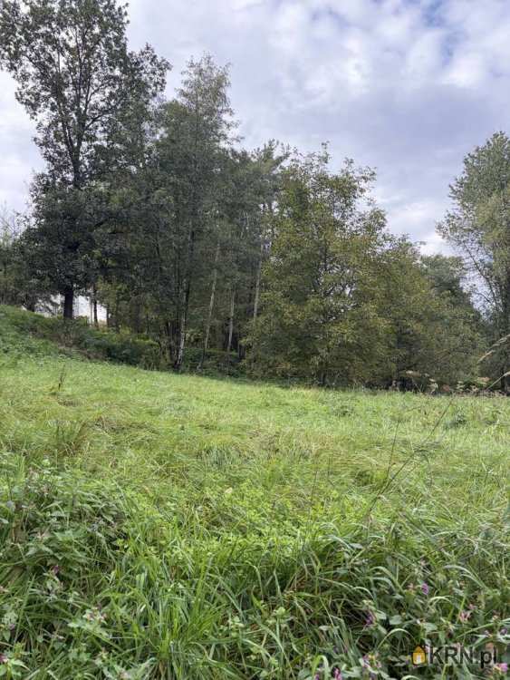 Działki  na sprzedaż, Skrzyszów, ul. , 