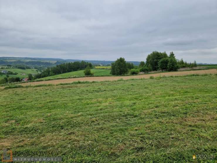 Działki  na sprzedaż, , Kozierów, ul. 