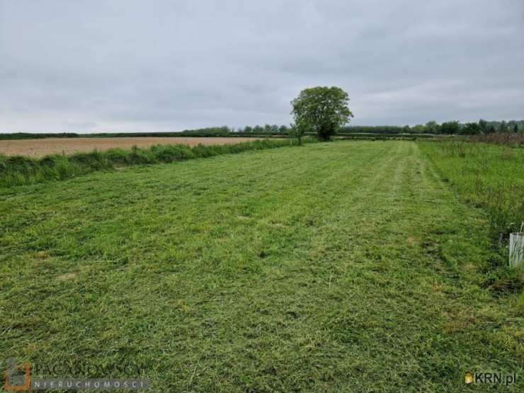 Kozierów, ul. , Działki  na sprzedaż, 