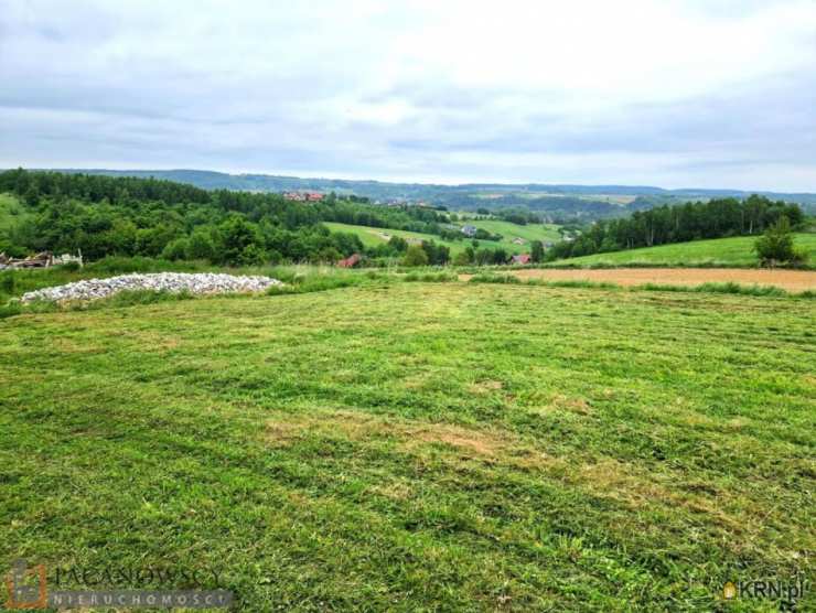 Działki  na sprzedaż, Kozierów, ul. , 