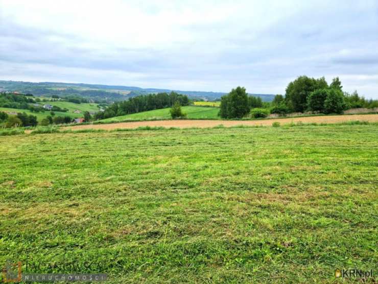 Działki  na sprzedaż, , Kozierów, ul. 