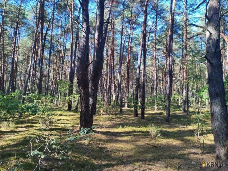 Działki  na sprzedaż, Wilga, ul. , 