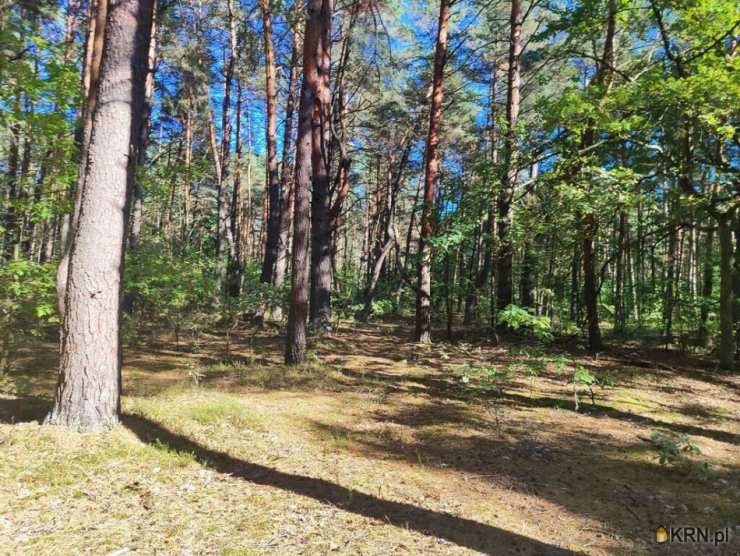 Działki  na sprzedaż, , Wilga, ul. 