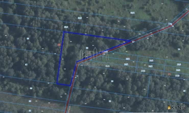 Działki  na sprzedaż, , Kobyłka, Maciołki, ul. Podleśna