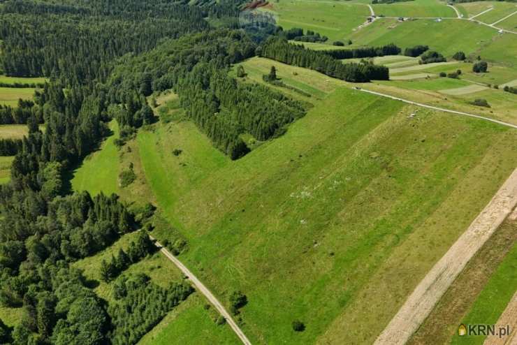 , Dursztyn, ul. , Działki  na sprzedaż