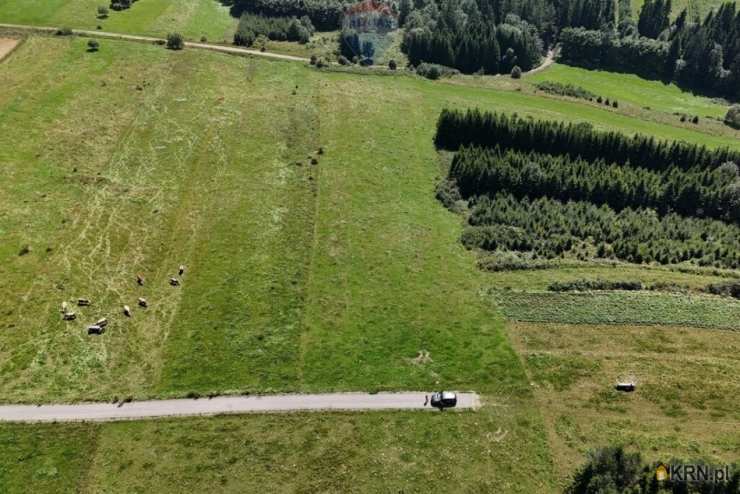 Działki  na sprzedaż, Dursztyn, ul. , 