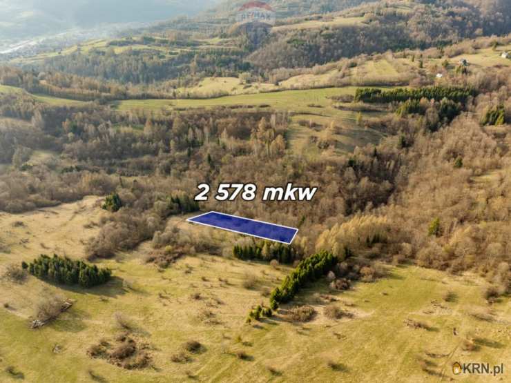 Działki  na sprzedaż, , Szczawnica, ul. 