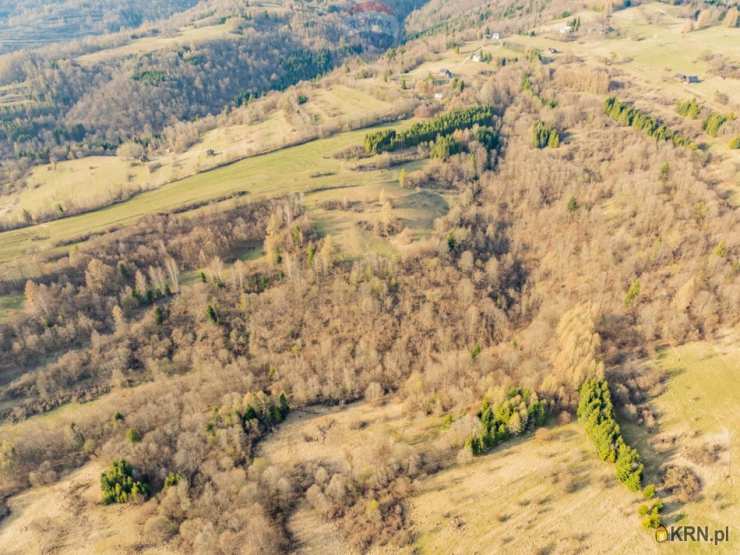 Szczawnica, ul. , Działki  na sprzedaż, 