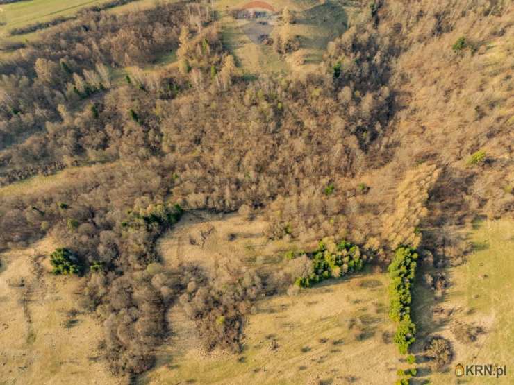 Szczawnica, ul. , , Działki  na sprzedaż