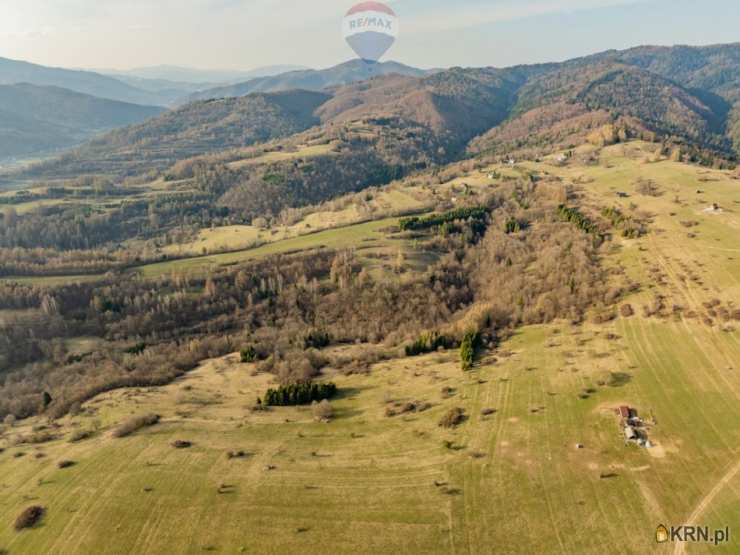 RE/MAX Polska, Działki  na sprzedaż, Szczawnica, ul. 