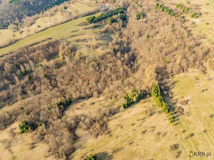 Działki  na sprzedaż, , Szczawnica, ul. 