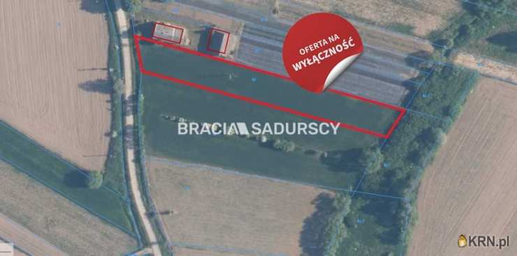 Działki  na sprzedaż, Popędzyna, ul. , 