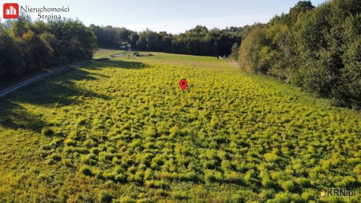 Grajów, ul. , Działki  na sprzedaż, 