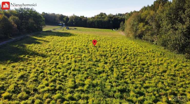 , Grajów, ul. , Działki  na sprzedaż