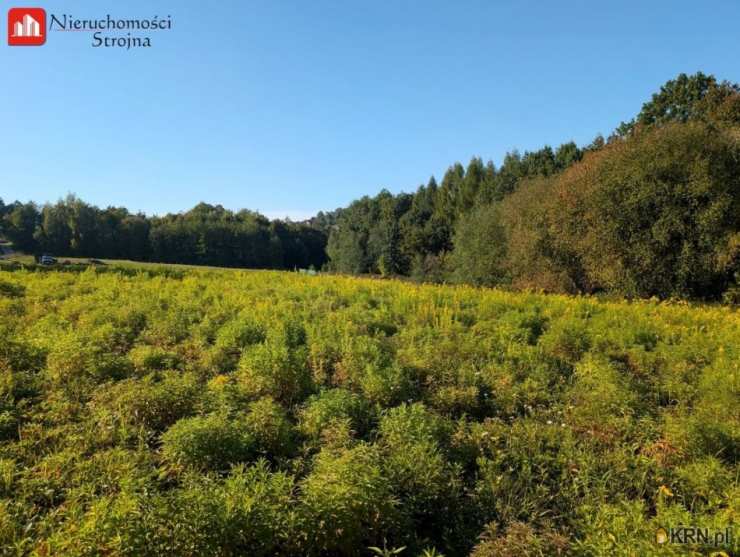 , Działki  na sprzedaż, Grajów, ul. 