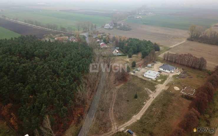 , Działki  na sprzedaż, Dąbrowa Biskupia, ul. 