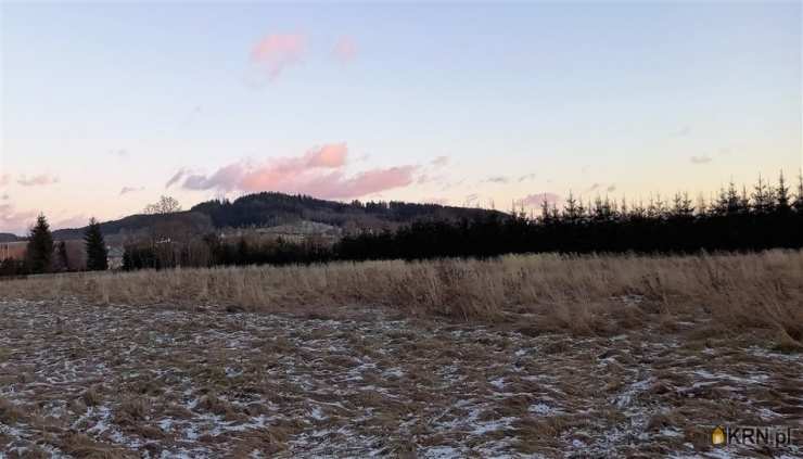 Działki  na sprzedaż, , Czadrów, ul. 