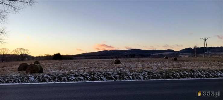 Czadrów, ul. , Działki  na sprzedaż, 