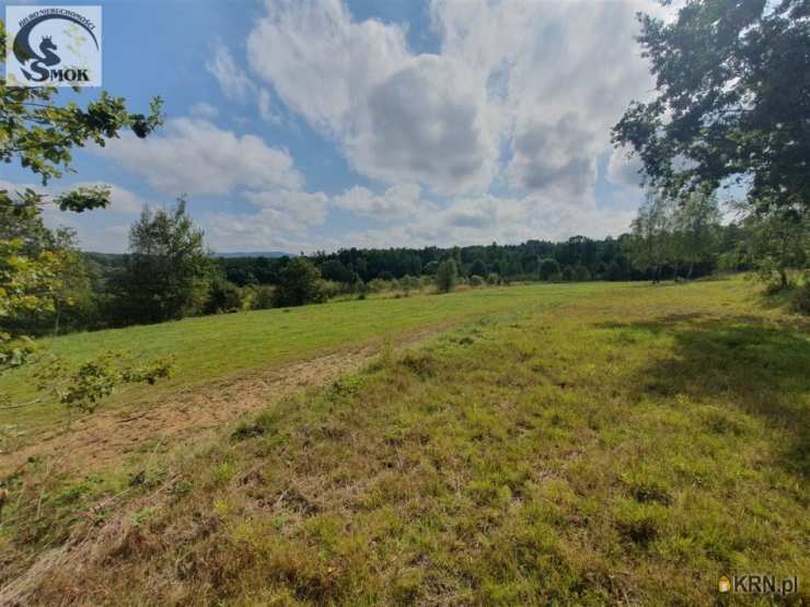 Jastrzębia, ul. , Działki  na sprzedaż, 