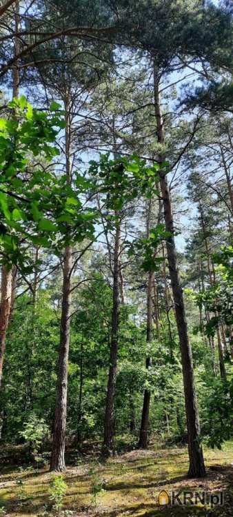 Działki  na sprzedaż, Józefów, ul. , 