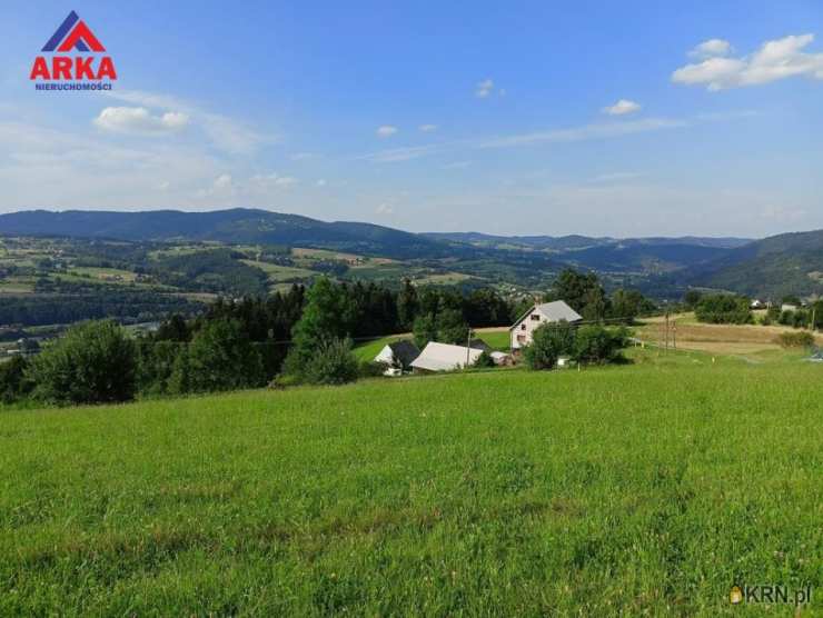 Działki  na sprzedaż, Limanowa, ul. , 