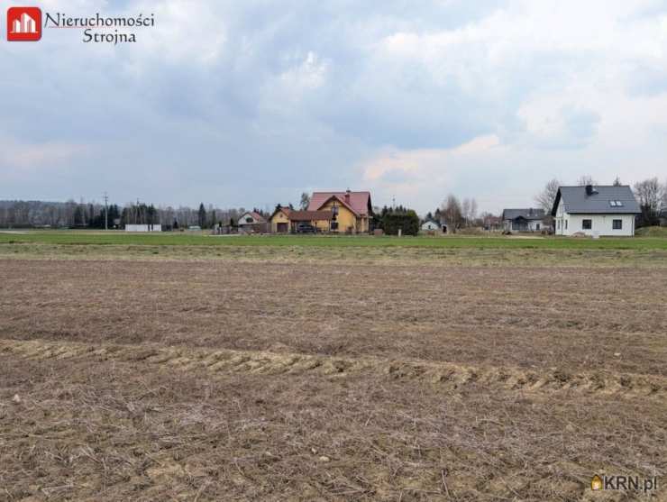 Działki  na sprzedaż, , Winiary, ul. 