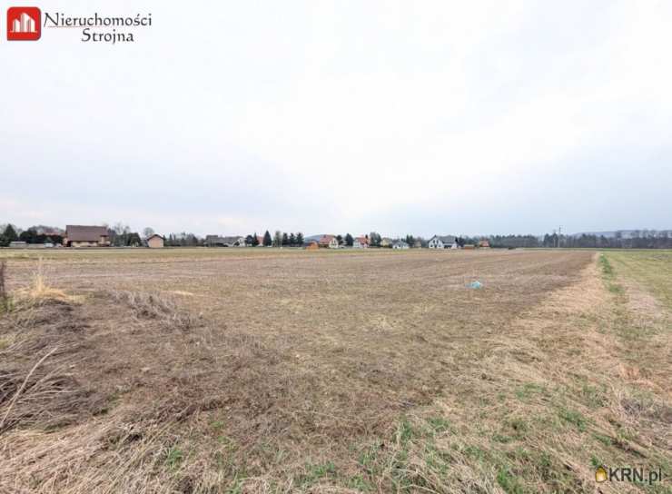 , Działki  na sprzedaż, Winiary, ul. 