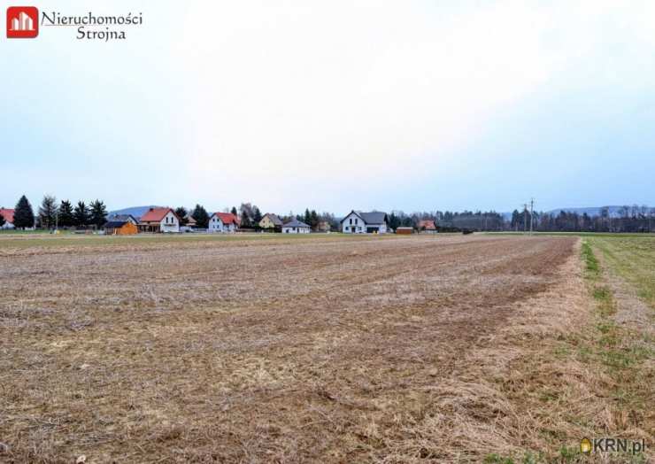 Nieruchomości Strojna, Działki  na sprzedaż, Winiary, ul. 