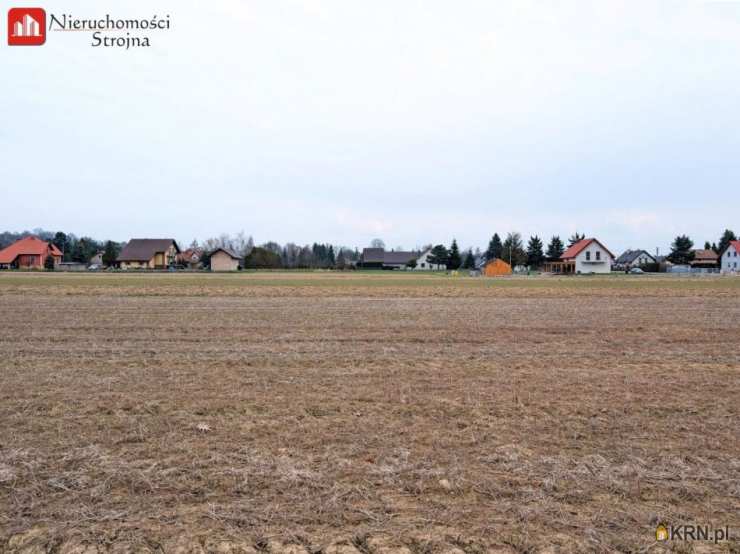 Działki  na sprzedaż, Winiary, ul. , 