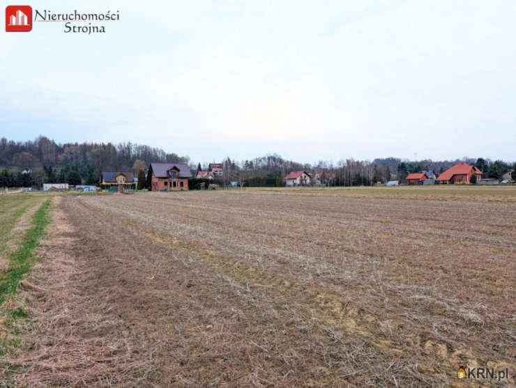 Działki  na sprzedaż, , Winiary, ul. 