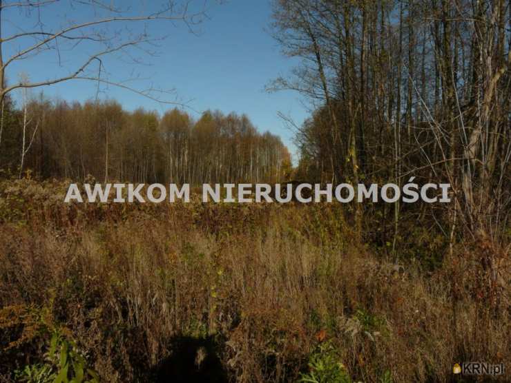 Budy Zaklasztorne, ul. , Działki  na sprzedaż, 