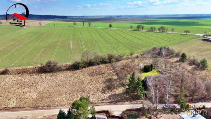 Dobrylewo, ul. , , Działki  na sprzedaż