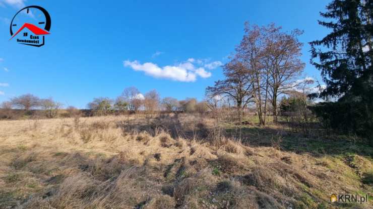 Działki  na sprzedaż, Dobrylewo, ul. , 