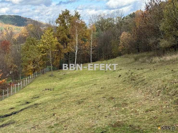 Działki  na sprzedaż, gm. Radziechowy-Wieprz, ul. , 