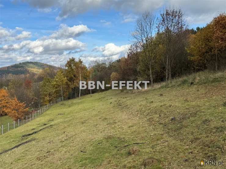 Działki  na sprzedaż, gm. Radziechowy-Wieprz, ul. , 