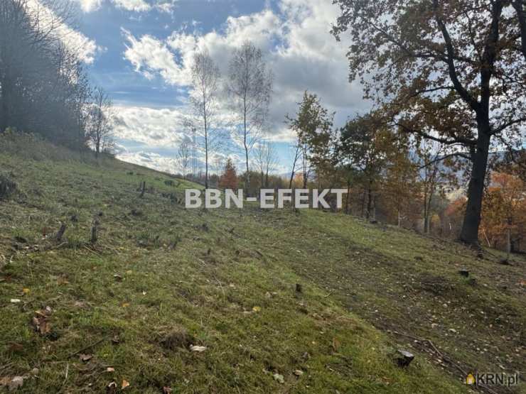 Działki  na sprzedaż, , gm. Radziechowy-Wieprz, ul. 