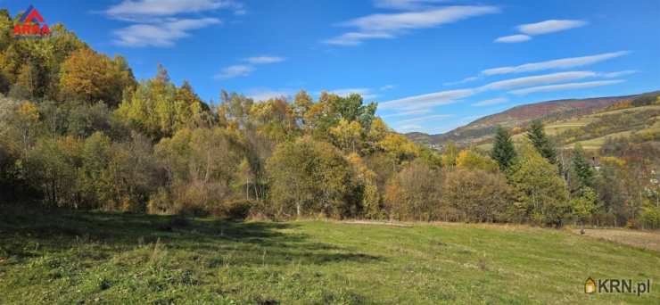 Działki  na sprzedaż, , Kamienica, ul. 