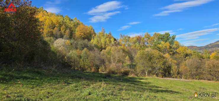 Kamienica, ul. , Działki  na sprzedaż, 